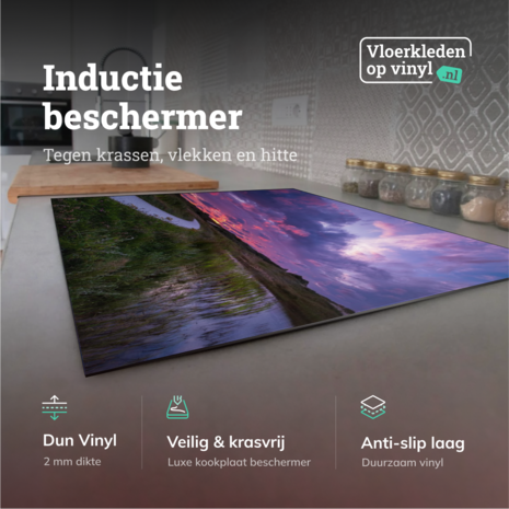 Induction protector | The pond at dusk