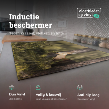 floorevents.com Induktionsschutz | Die Wache eines Hirsches