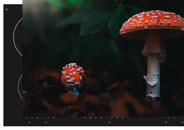 Induktionsschutz | Scharlachrote Wächter Induktionsschutz | Scharlachrote Wächter