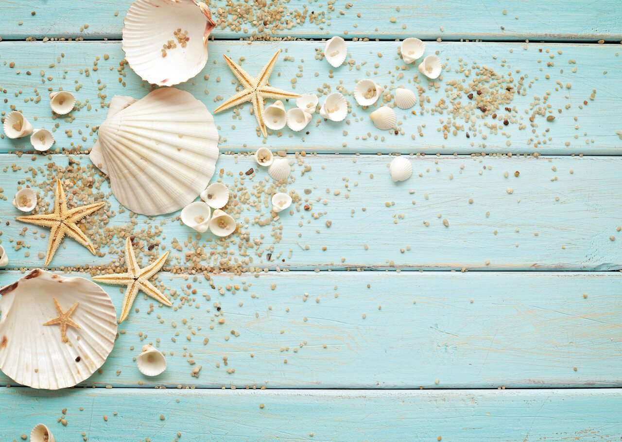 Placemat vinyl | Shells