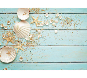 Placemat vinyl | Shells