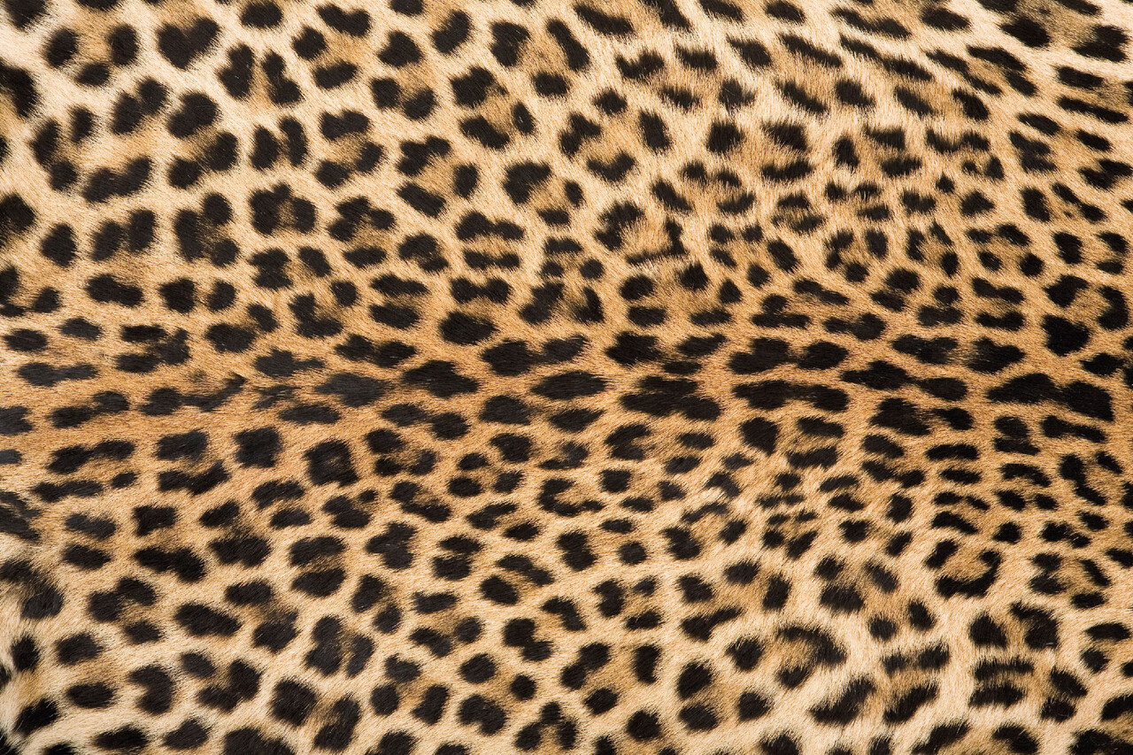 Vloerkleed vinyl | Leo. P , Panterprint