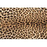 Vloerkleed vinyl | Leo. P