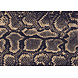 floorevents.com Vinyl rug | Kaa