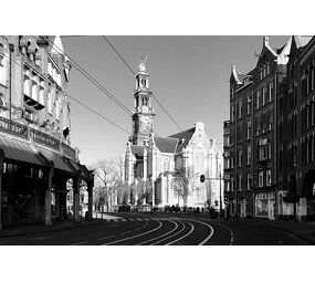 Inductie beschermer | Wester toren Inductie beschermer | Wester toren