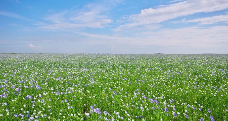 Waarom beddengoed van linnen?