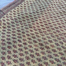 Maurits Plaid Udaipur