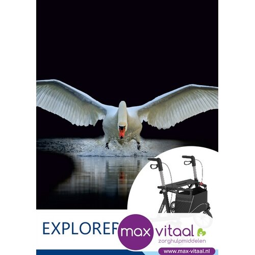 Explorer  Outdoor rollator