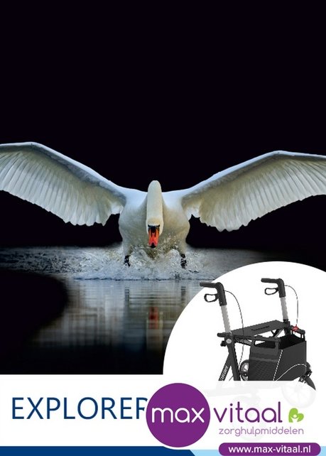 Explorer  Outdoor rollator