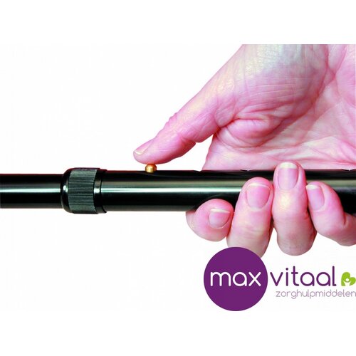 Vaste wandelstok, anatomisch handvat - zwart -