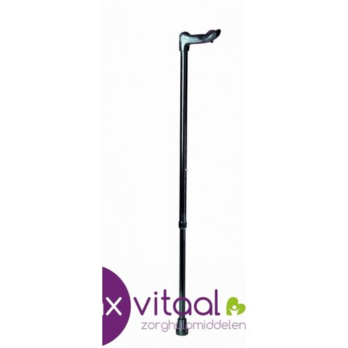 Vaste wandelstok, anatomisch handvat - zwart -