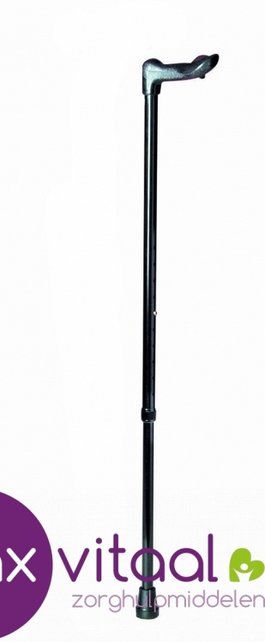 Vaste wandelstok, anatomisch handvat - zwart -