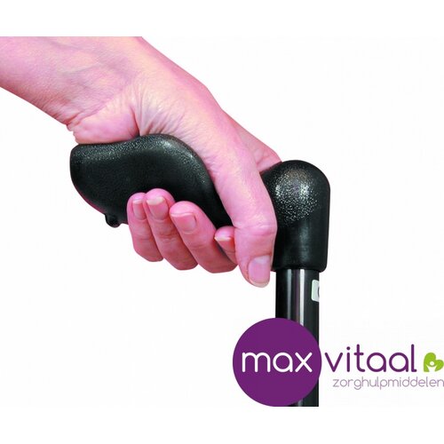 Vaste wandelstok, anatomisch handvat - zwart -