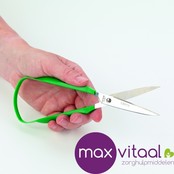 Lusschaar gepunte uiteinden Lusschaar gepunte uiteinden