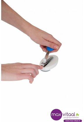 Kleine nagelschaar op blok