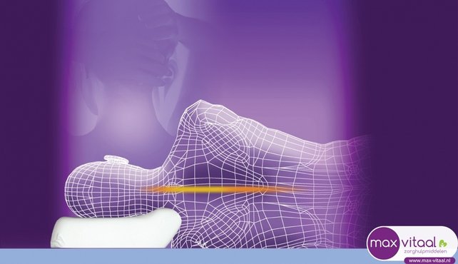 Hoofdkussen Plus 51 x 36 x 13 cm - Hoofdkussen Plus 51 x 36 x 13 cm -