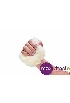 Handpalmbeschermer