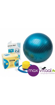 Therapiebal