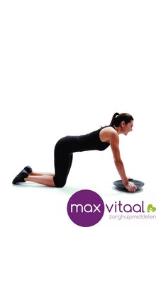 Wobble board plastic