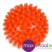Egelbal, diverse kleuren en afmeting