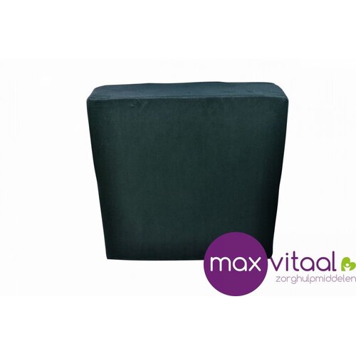 Booster zitkussen -