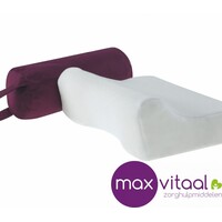 Reiskussen 30x32x10cm -