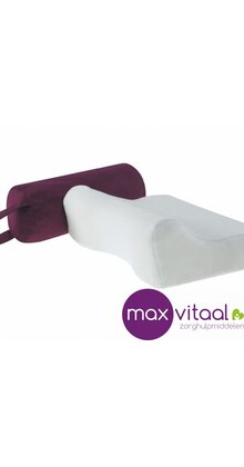 Reiskussen 30x32x10cm -