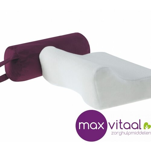 Reiskussen 30x32x10cm -