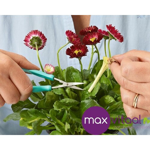 Mini Easi-Grip schaar - gepunt