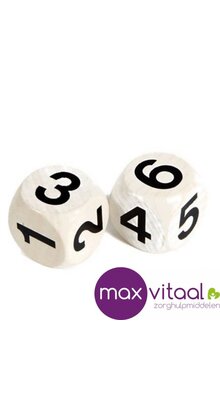 Dobbelsteen met cijfers groot WIT (6 stuks)