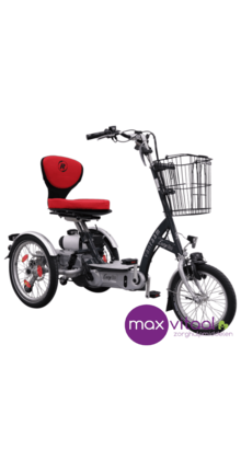 Easy Go scootmobielfiets