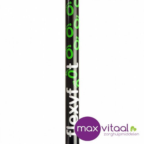 Wandelstok met ovalen handvat