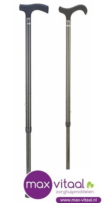 Carbon wandelstok -