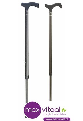 Carbon wandelstok -