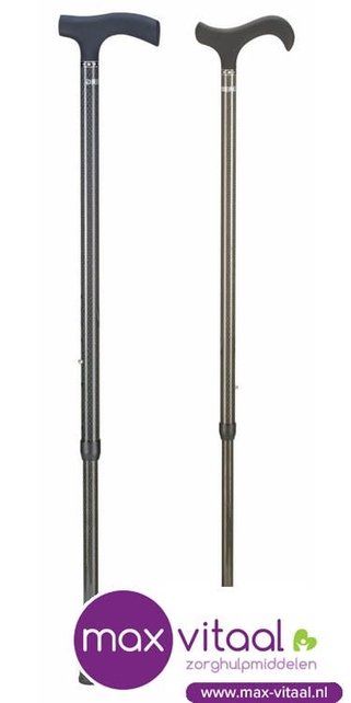 Carbon wandelstok -