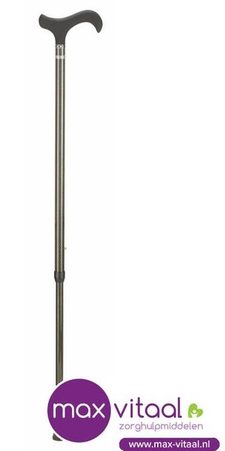 Carbon wandelstok -