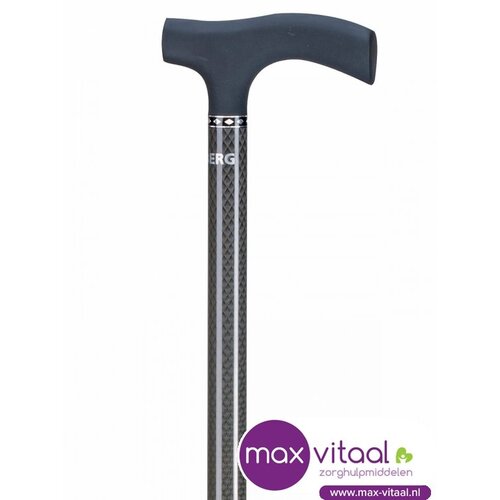 Carbon wandelstok -
