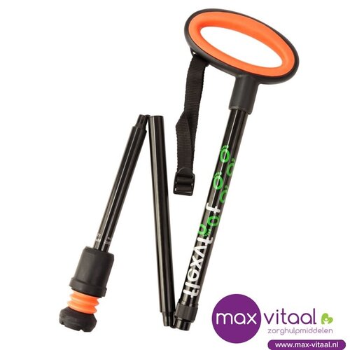 Wandelstok met ovalen handvat