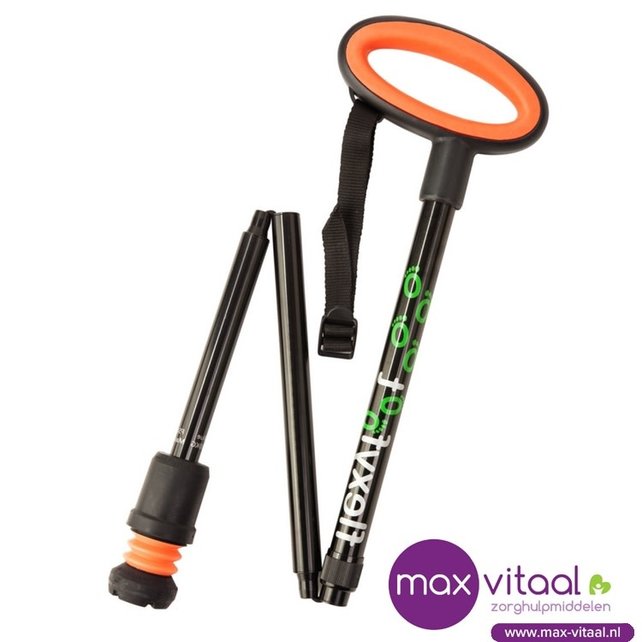 Wandelstok met ovalen handvat