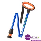 Wandelstok met ovalen handvat