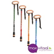 Wandelstok met ovalen handvat