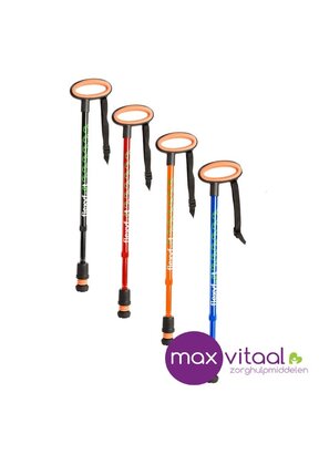 Wandelstok met ovalen handvat