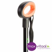 Wandelstok met ovalen handvat