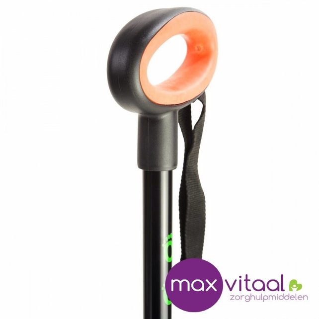 Wandelstok met ovalen handvat