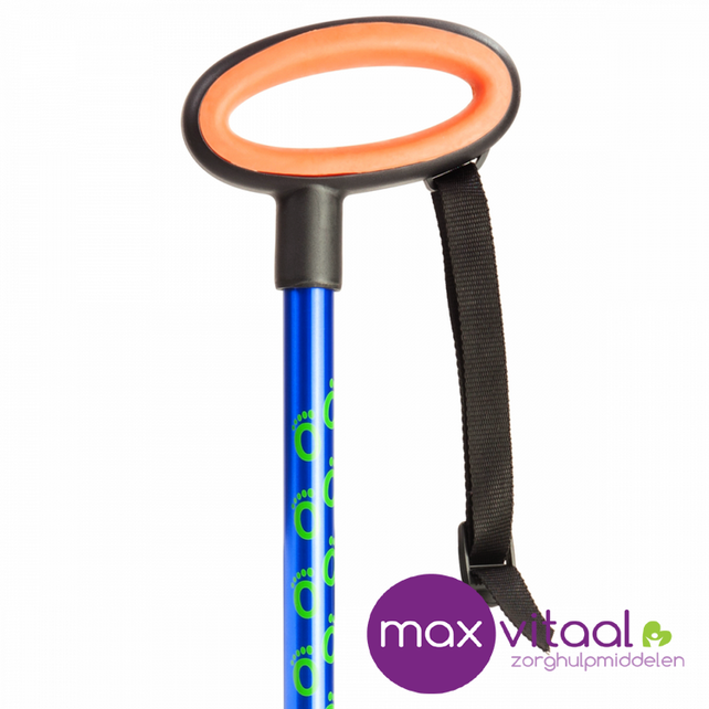 Wandelstok met ovalen handvat