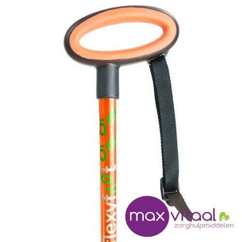 Wandelstok met ovalen handvat