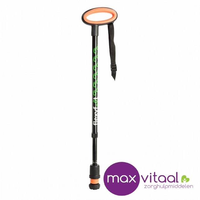 Wandelstok met ovalen handvat