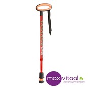 Wandelstok met ovalen handvat