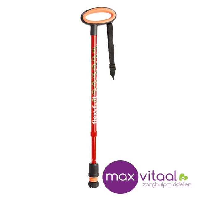 Wandelstok met ovalen handvat