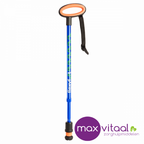 Wandelstok met ovalen handvat